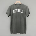 Fly Ball Arch